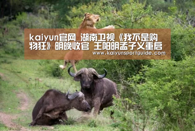 kaiyun sports官网
