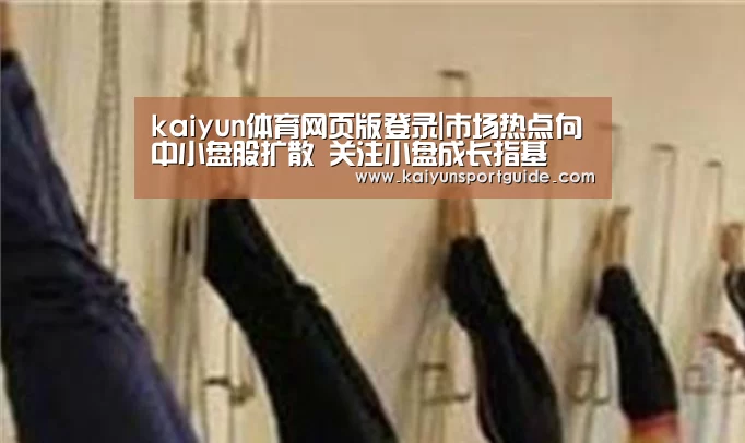 kaiyun体育网页版登录|市场热点向中小盘股扩散 关注小盘成长指基(图3) kaiyun sports官网