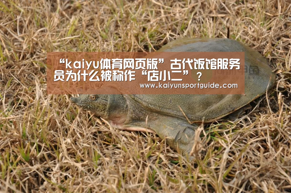 “kaiyu体育网页版”古代饭馆服务员为什么被称作“店小二”?(图3) kaiyun官网