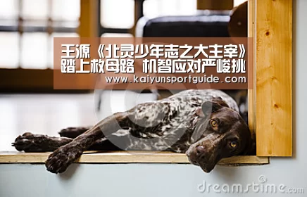 kaiyun体育网页版登录