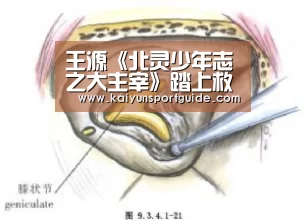 kaiyu体育网页版