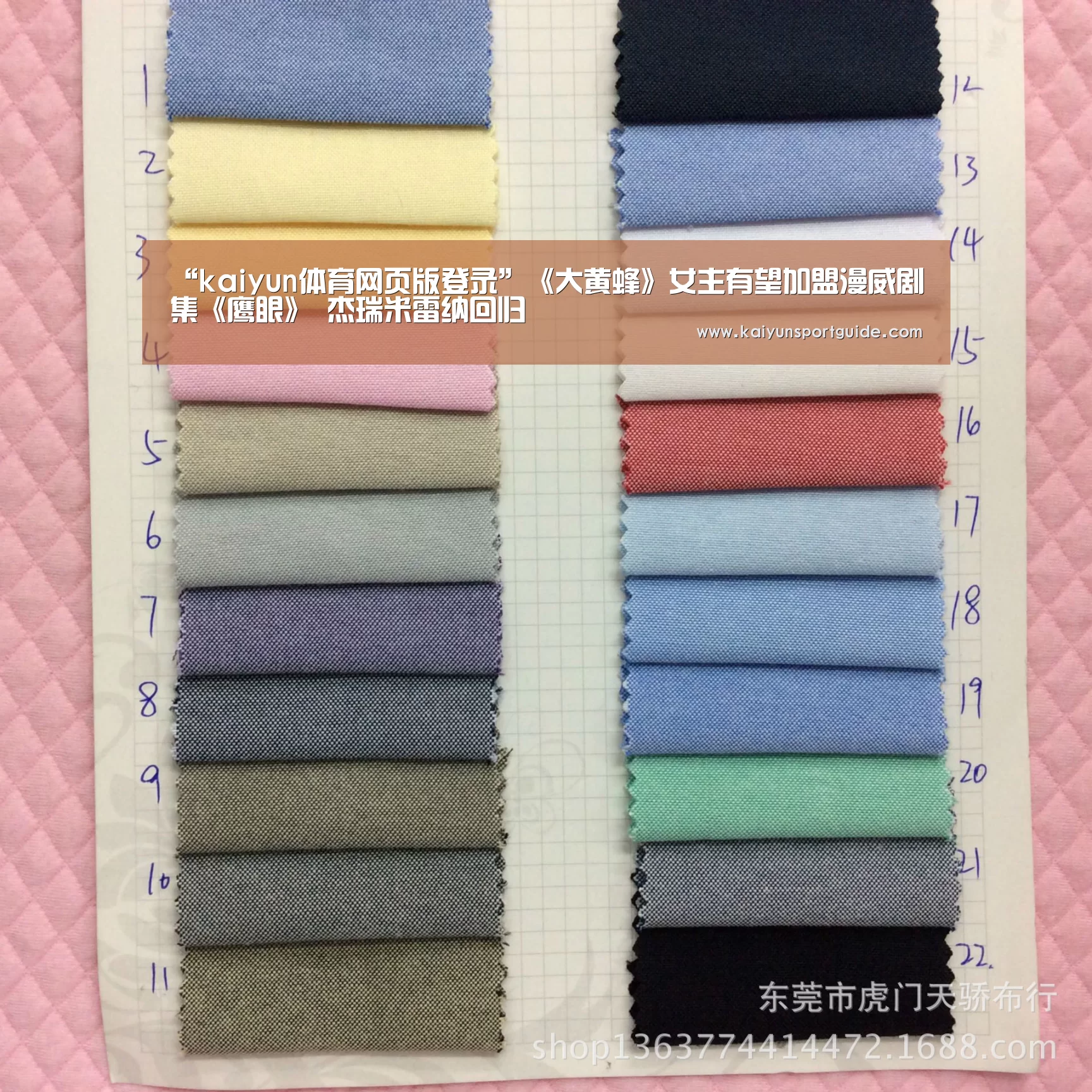 “kaiyun体育网页版登录”《大黄蜂》女主有望加盟漫威剧集《鹰眼》 杰瑞米雷纳回归(图1) kaiyun体育网页版登录