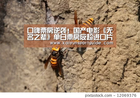 kaiyu体育网页版