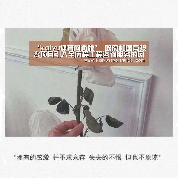 kaiyun官网